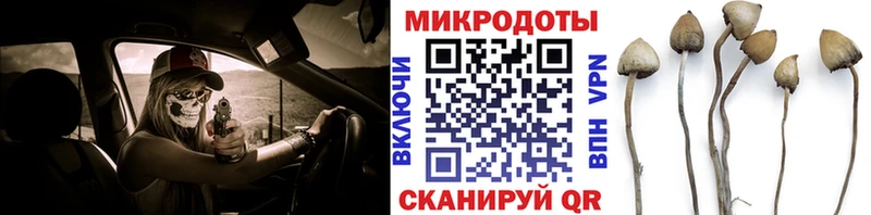 Псилоцибиновые грибы MAGIC MUSHROOMS  Новочеркасск 