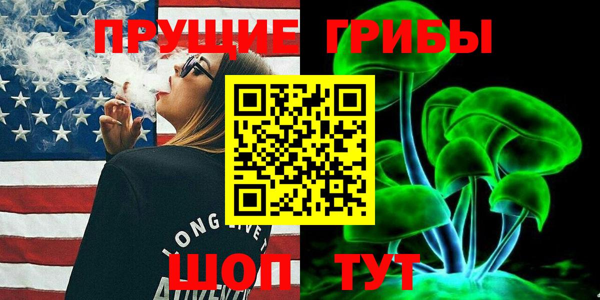 Галлюциногенные грибы Psilocybe  Вход с VPN  Галлюциногенные грибы Psilocybe  Новочеркасск 